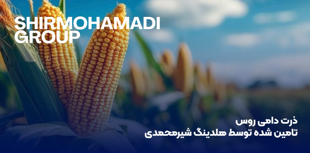 ذرت دامی روس تامین شده توسط هلدینگ شیرمحمدی